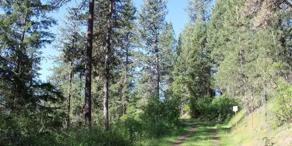 Image 4: Private Driveway off Haven
