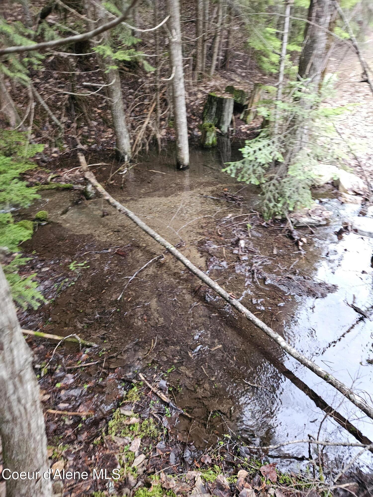 Image 2: 20250402_175346
