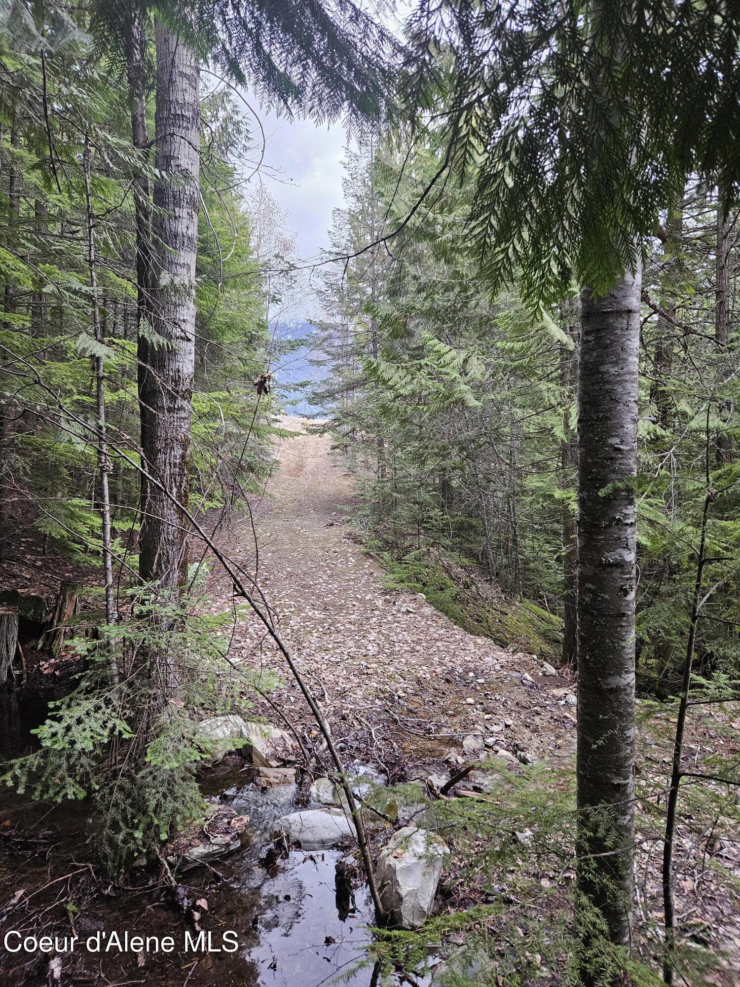 Image 3: 20250402_175348