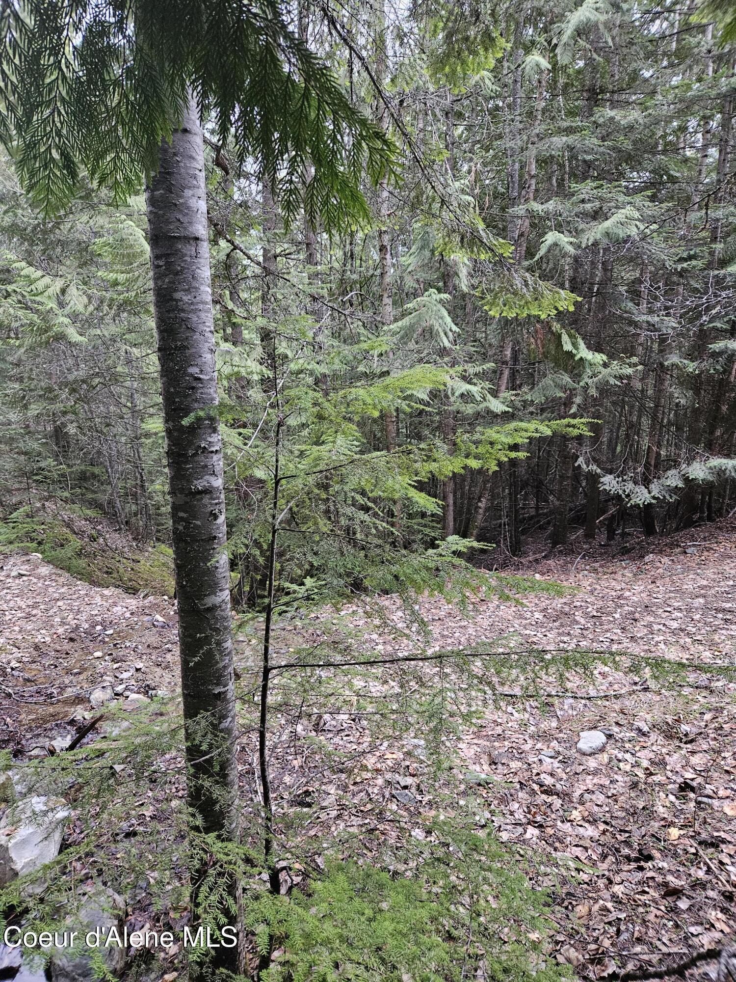 Image 4: 20250402_175350