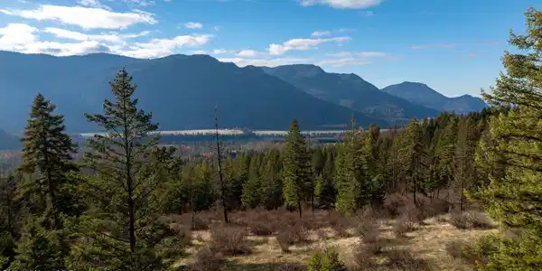 Image 2: DJI_0160