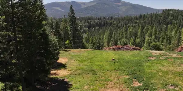 Image 2: 02