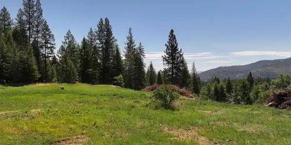 Image 3: 03