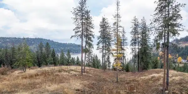 NNA Red Hawk Landing