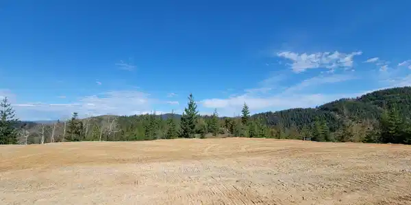 Image 4: 4