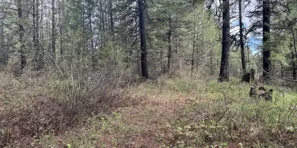 NKA Old Railroad Grade