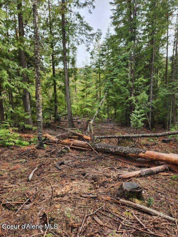 Image 3: Middle Fork 3