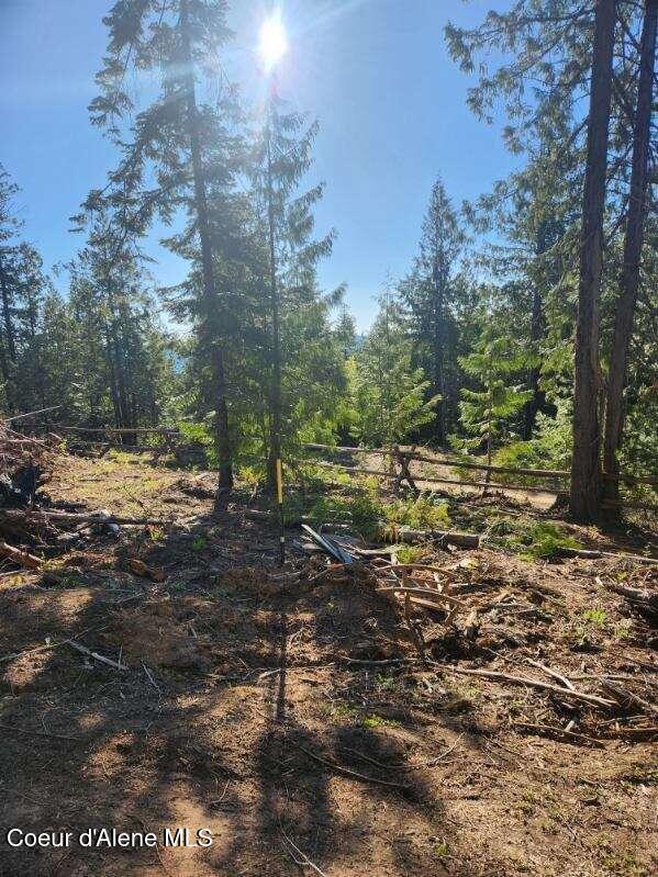 Image 4: Middle Fork 4