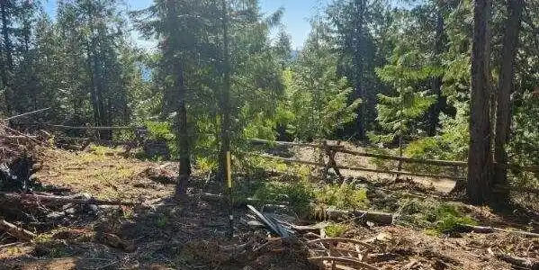 Image 4: Middle Fork 4