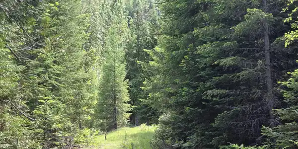 Image 2: Access road