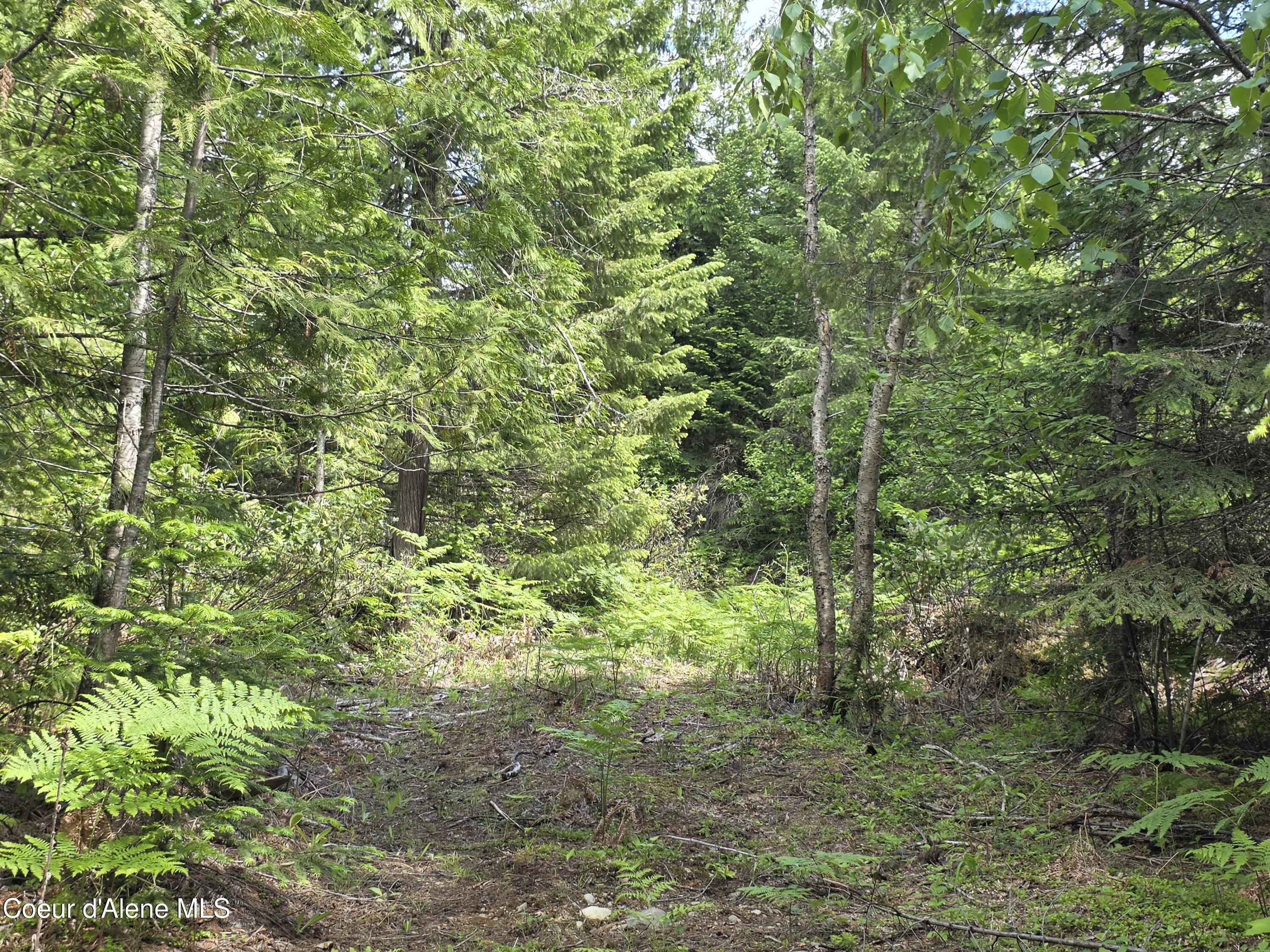 Image 3: This property has endless options