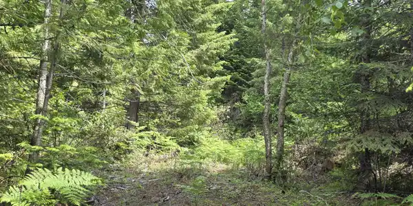 Image 3: This property has endless options