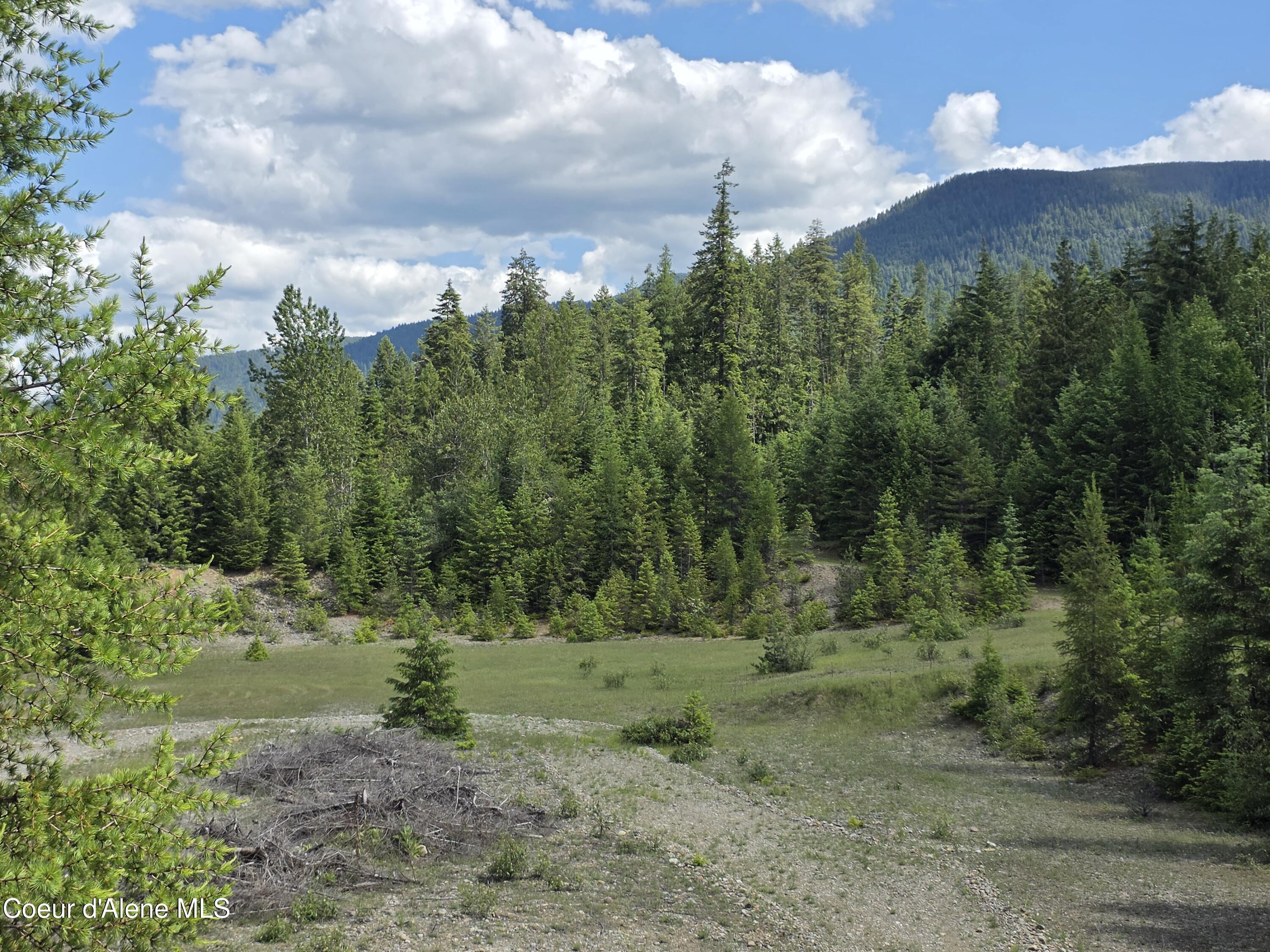Image 4: 20260604_144117