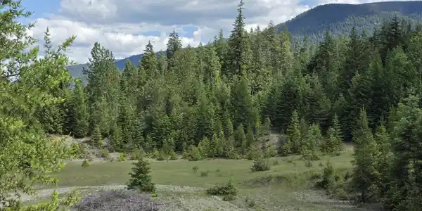 Image 4: 20260604_144117
