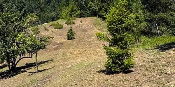 Image 3: 6