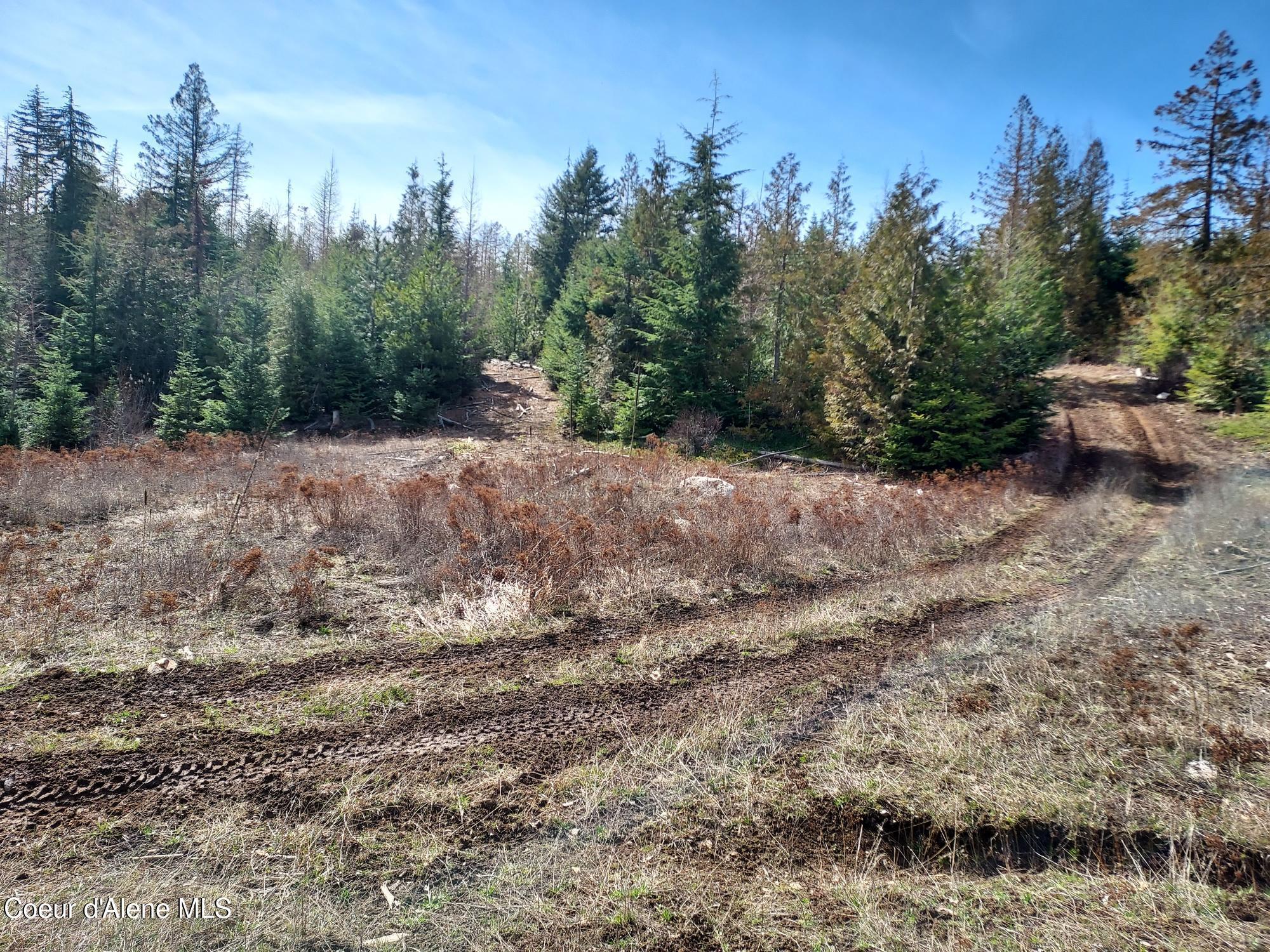 Image 4: Property1