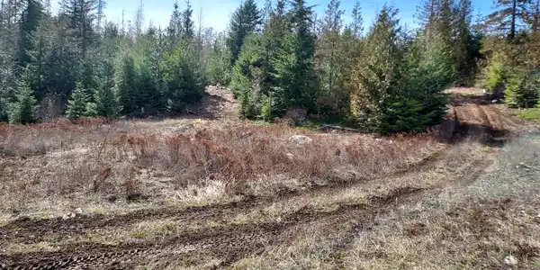 Image 4: Property1