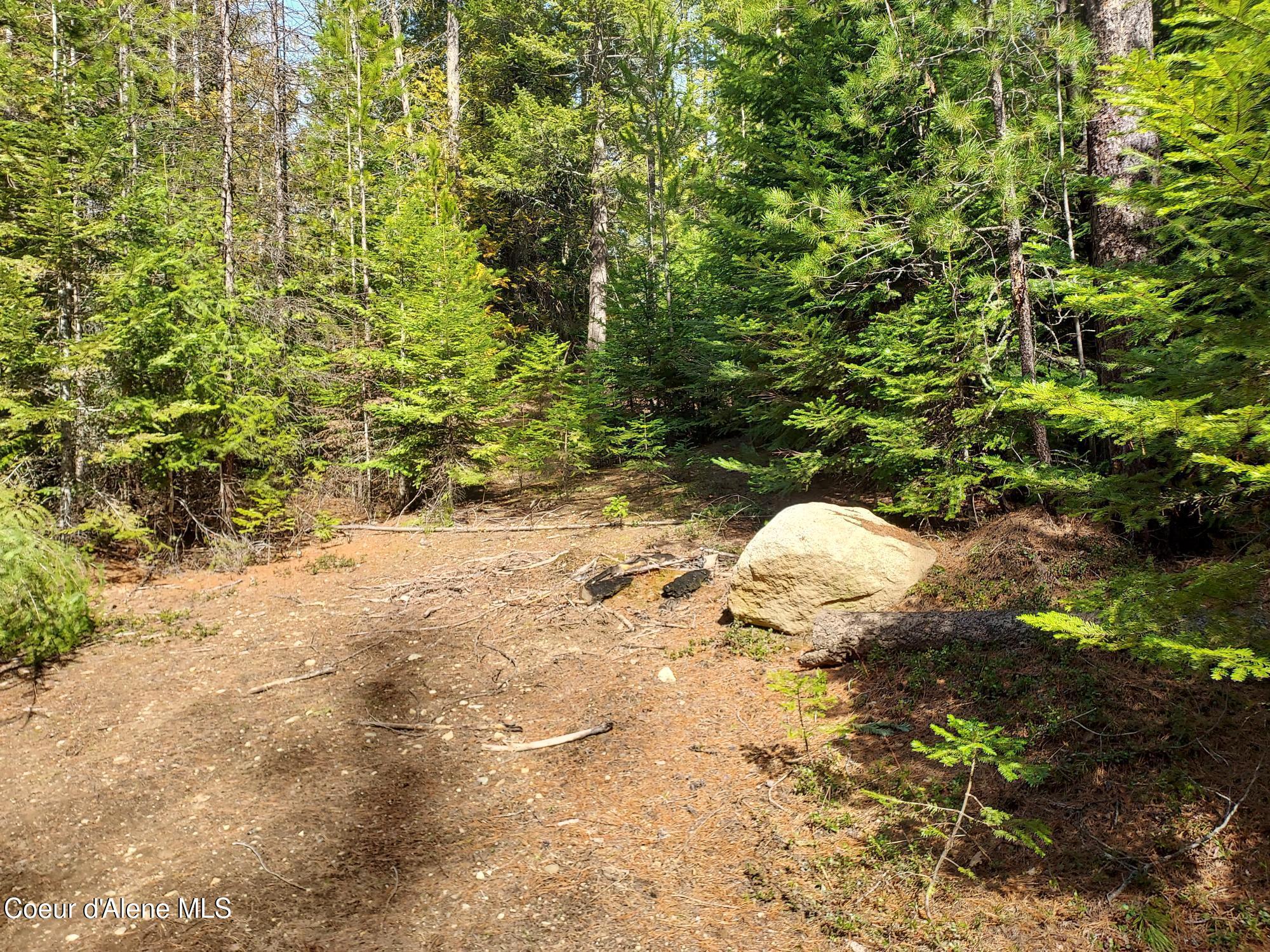 Image 2: North1