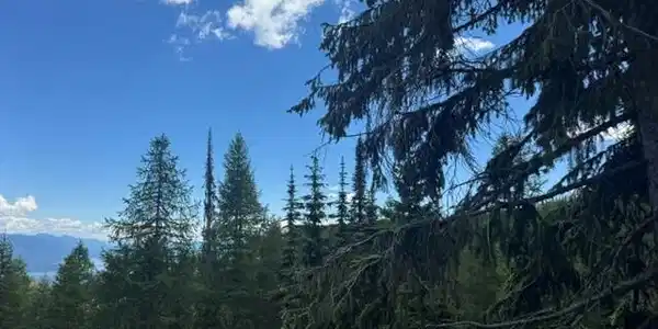 Image 3: 6