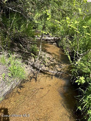 Image 1: Murry Creek