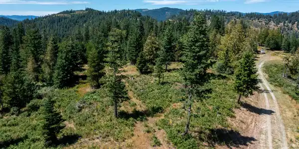 NNA Frosty Lane Lot I