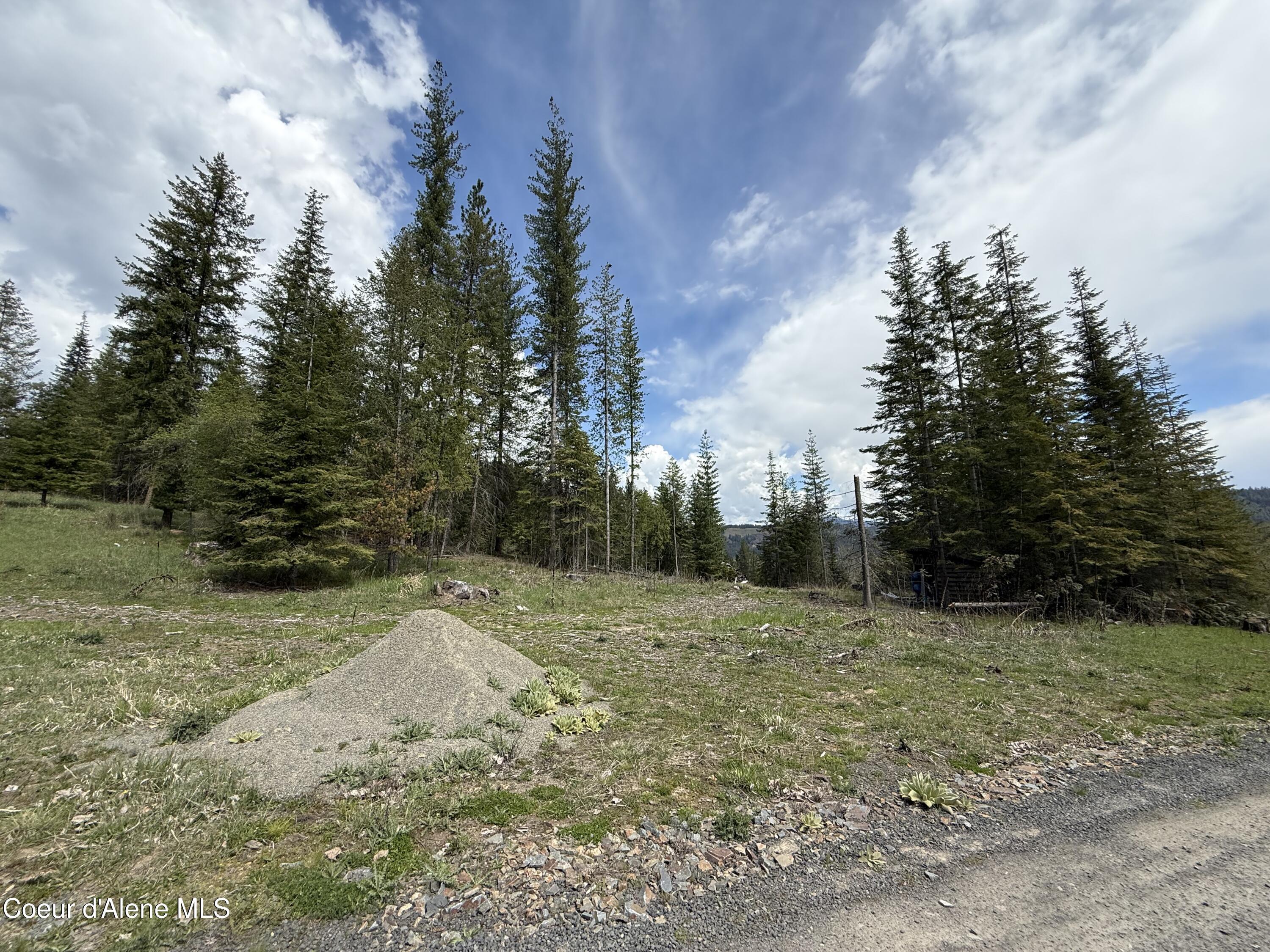 Image 3: IMG_4610
