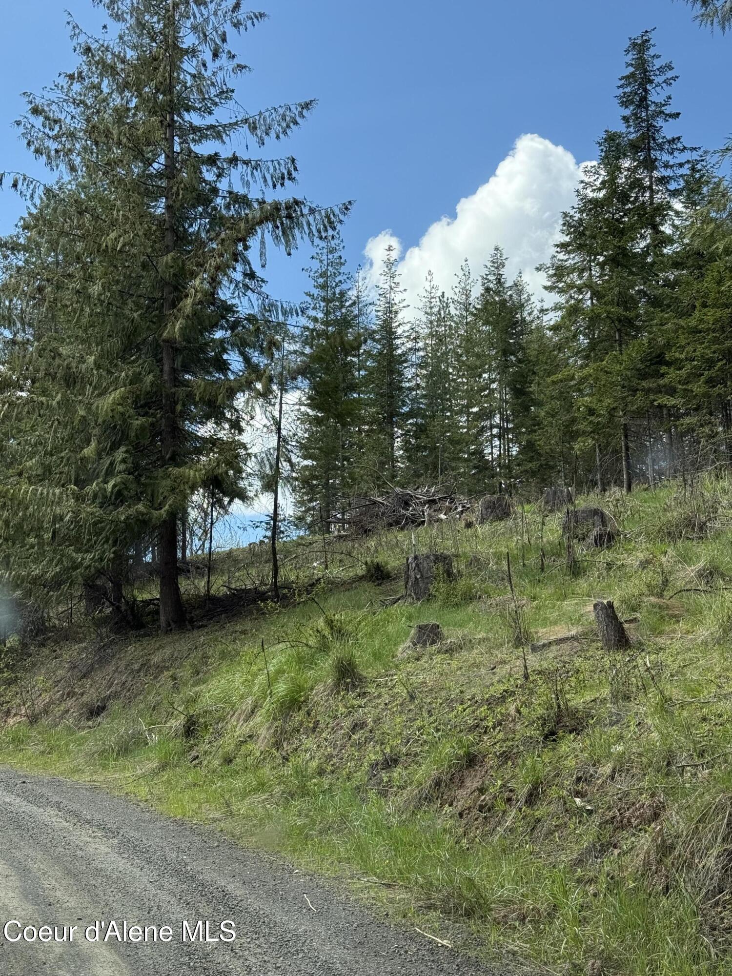 Image 4: IMG_4589