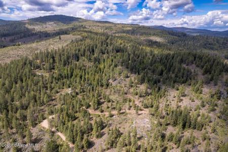 1131 Cabin Ridge Rd