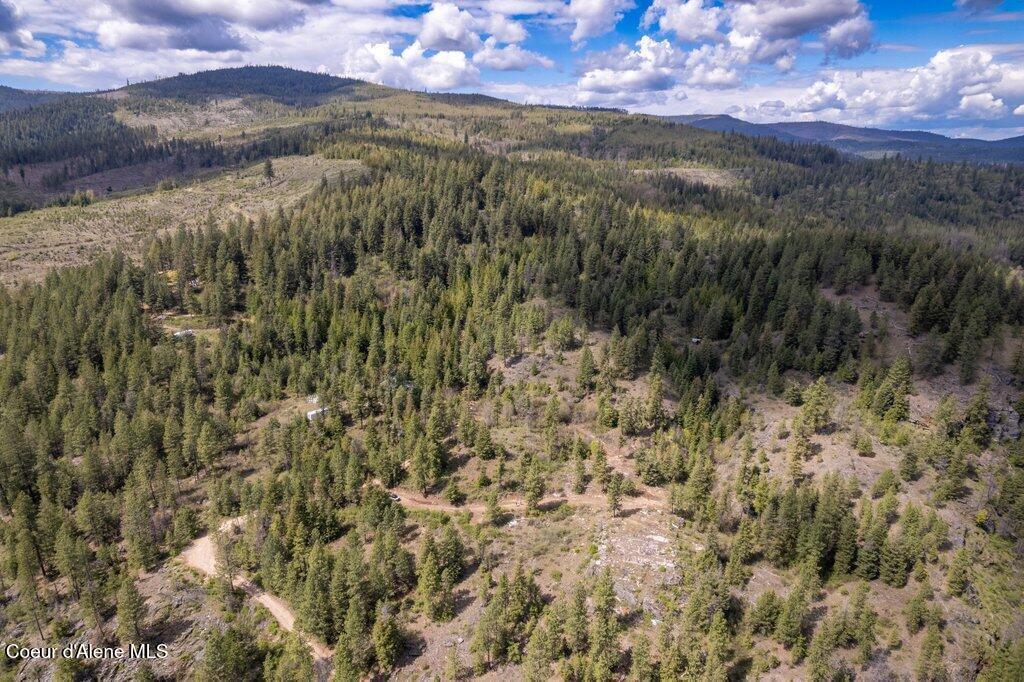 Image 1: 001-1131CabinRidgeRoad-SpiritLake-ID-838