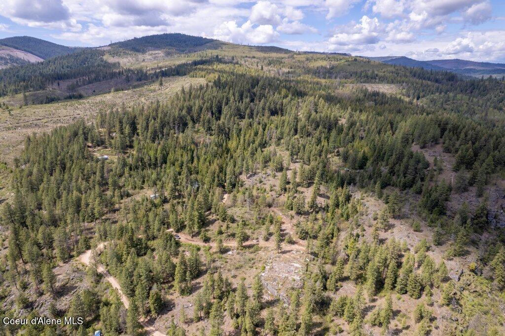 Image 3: 003-1131CabinRidgeRoad-SpiritLake-ID-838