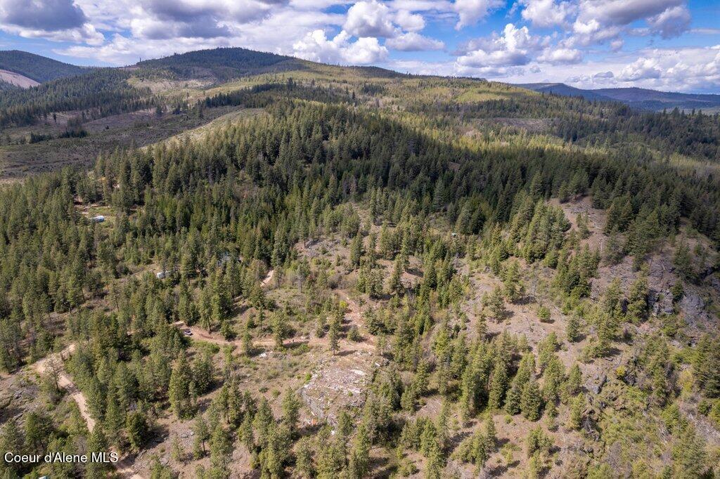 Image 4: 004-1131CabinRidgeRoad-SpiritLake-ID-838