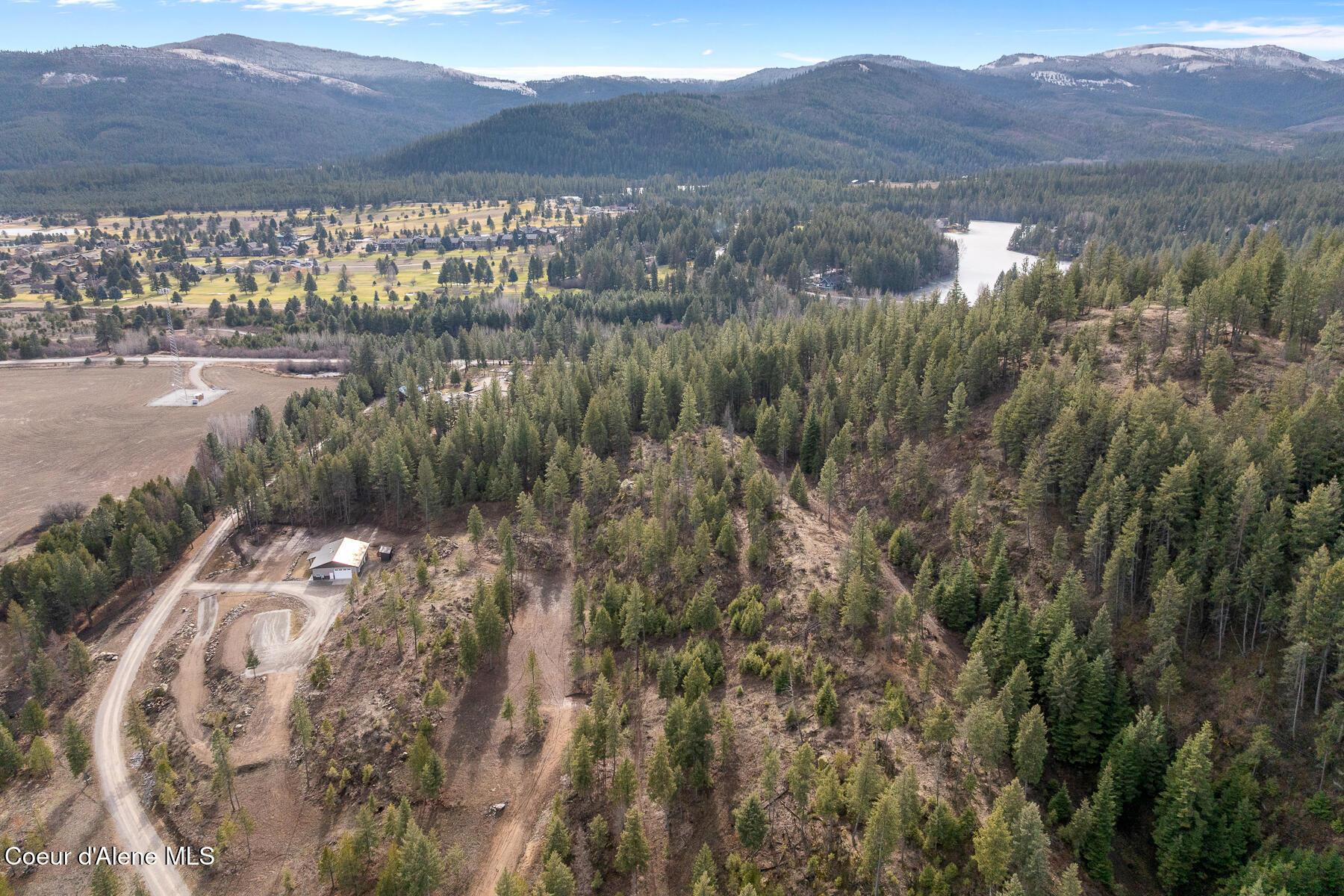 Image 3: Nicely Forested