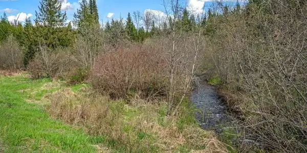 Image 2: Flume Creek