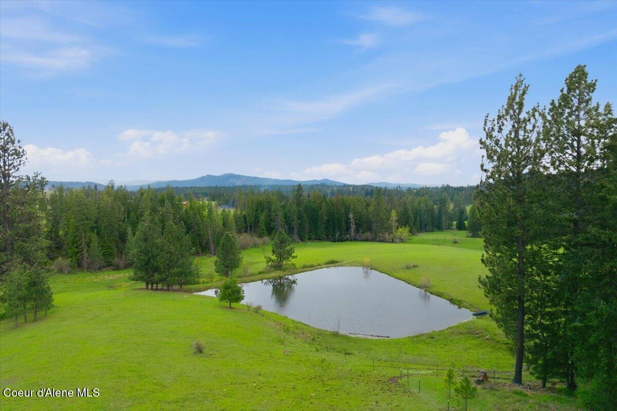 Image 2: Pond View