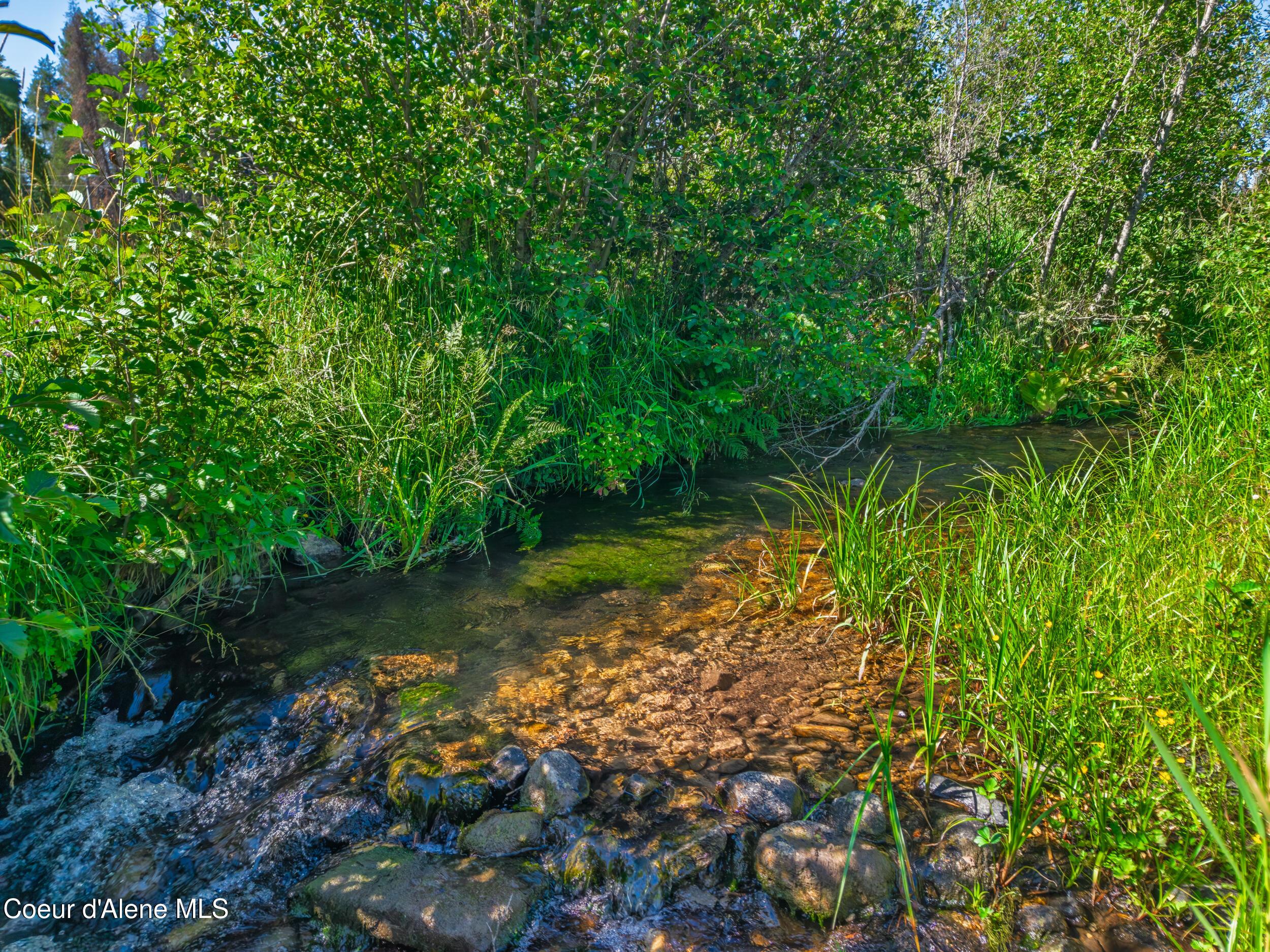 Image 3: Creek