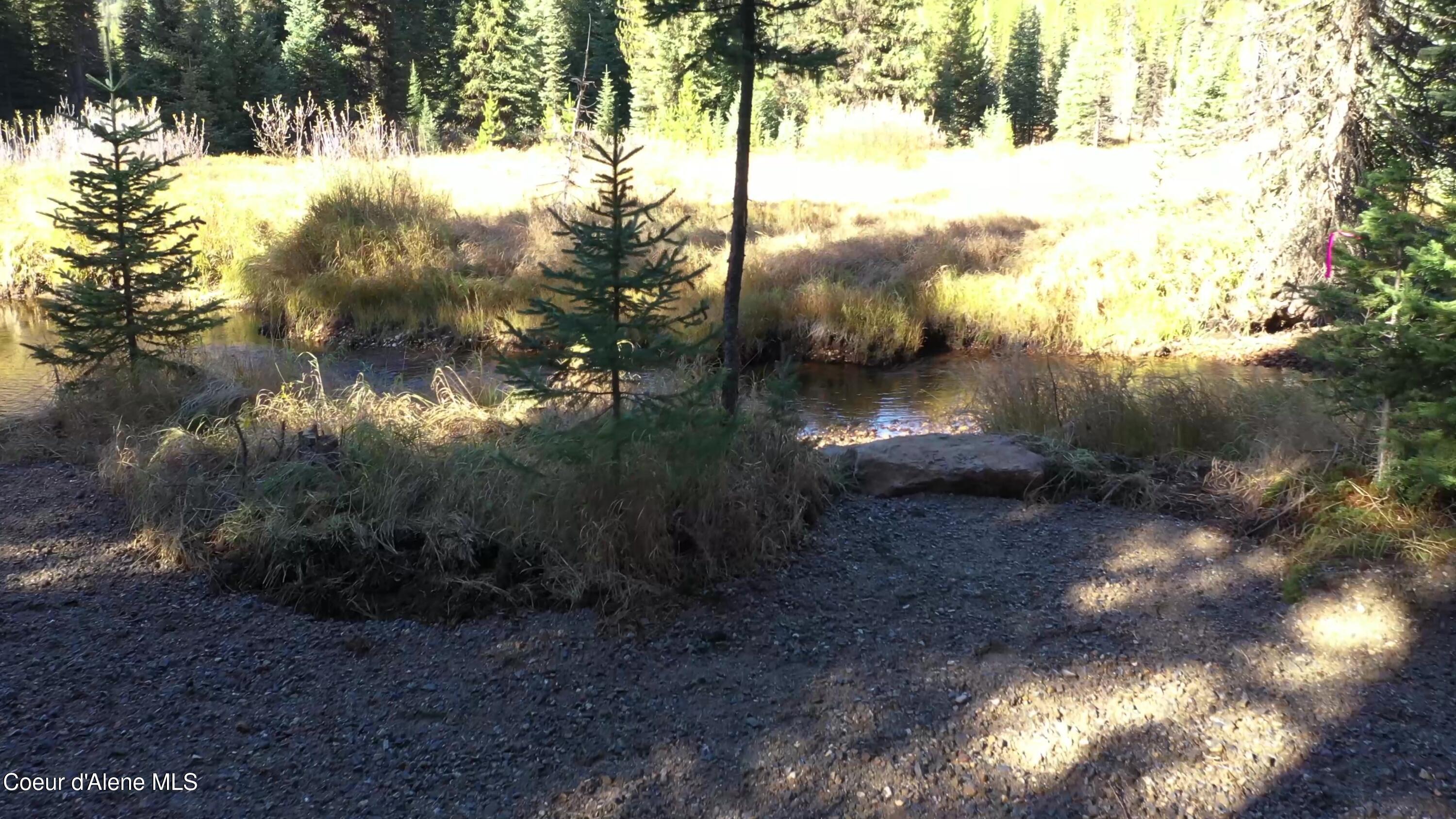 Image 4: 04_creek_aerial_forest