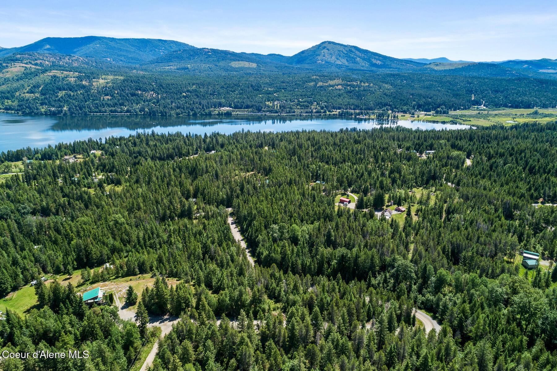 Image 4: Aerial_306PinewoodLn-1