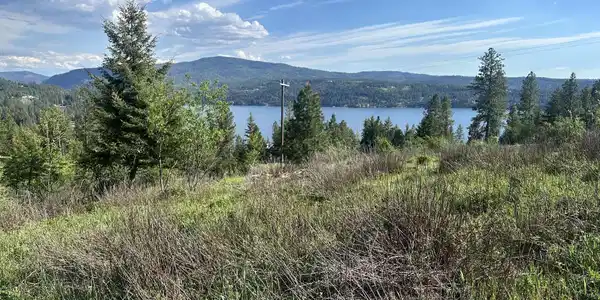 Image 3: Buildable lot with lake views and natura