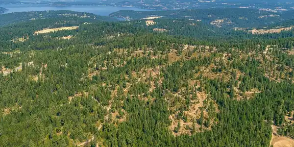 Image 3: 23-E Burma Rd 23