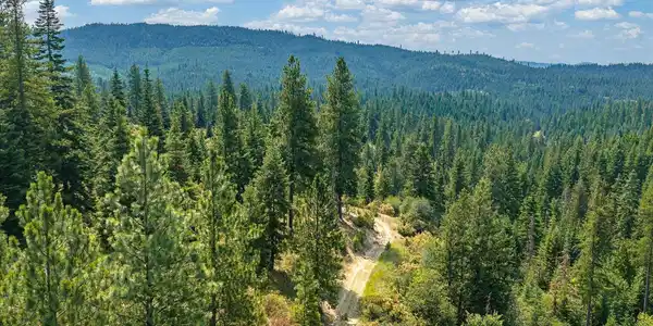Image 4: 37-E Burma Rd 37