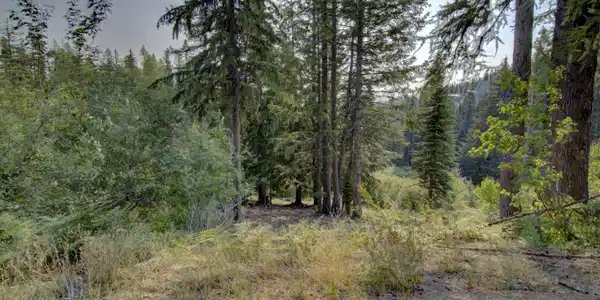 Image 2: Ullr 4