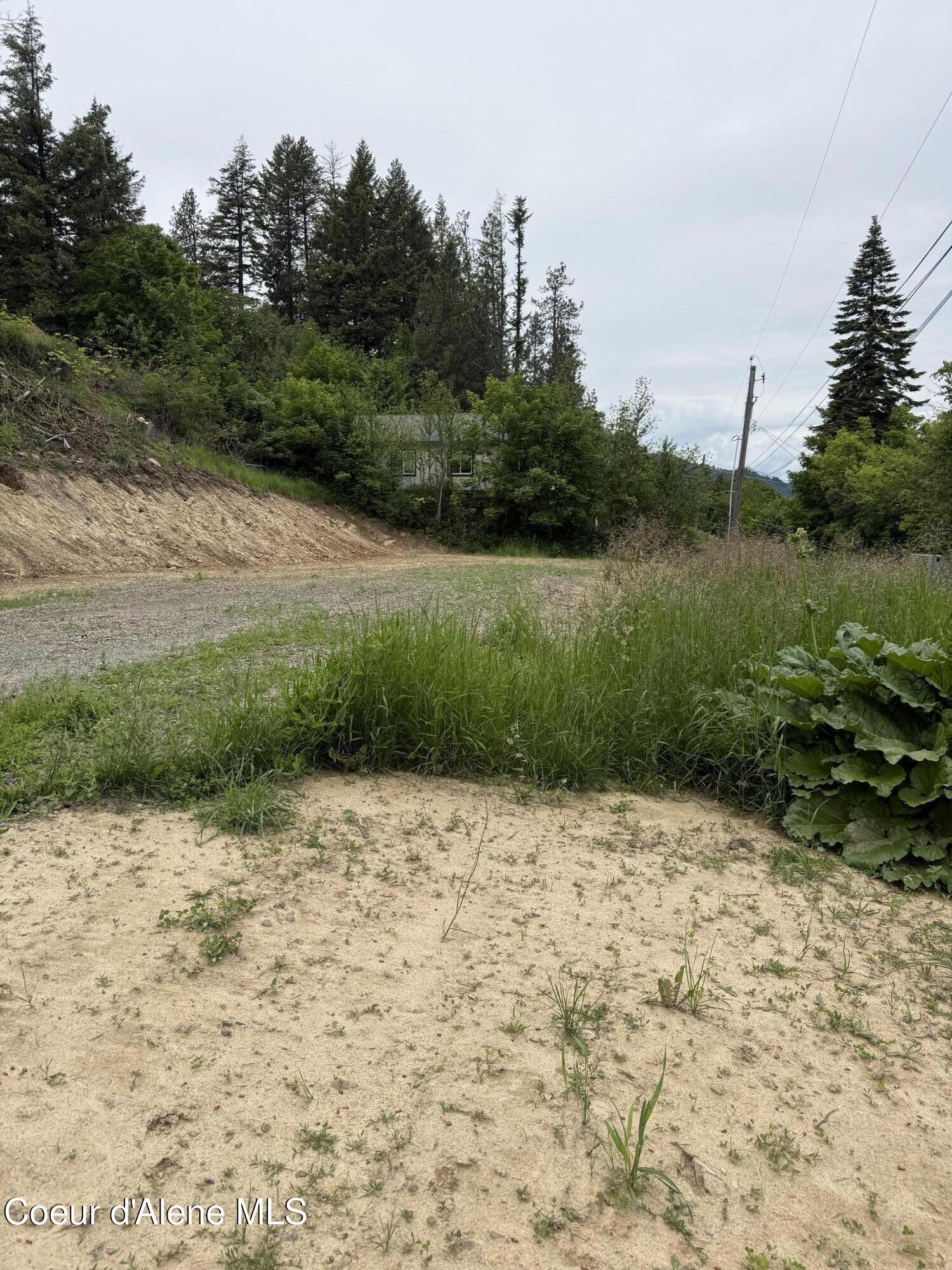 Image 4: lot