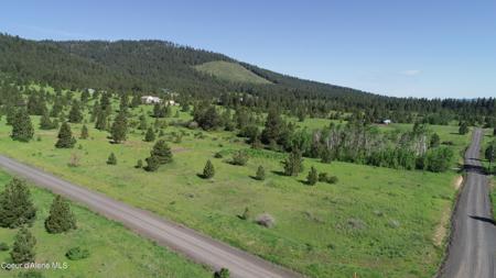 404 Vine Maple Rd