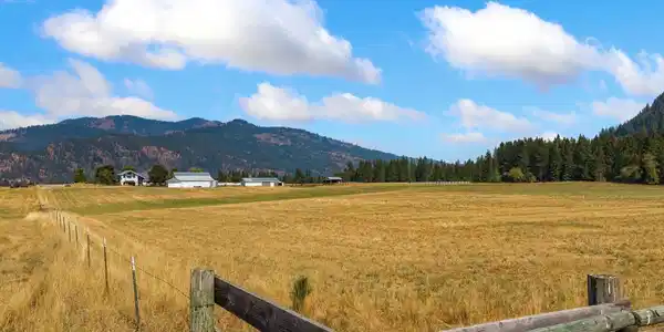 Image 2: Produces 15 Tons of Hay Annually