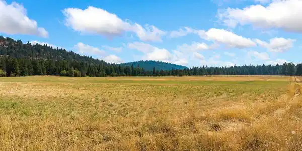 Image 4: Level Farm Land