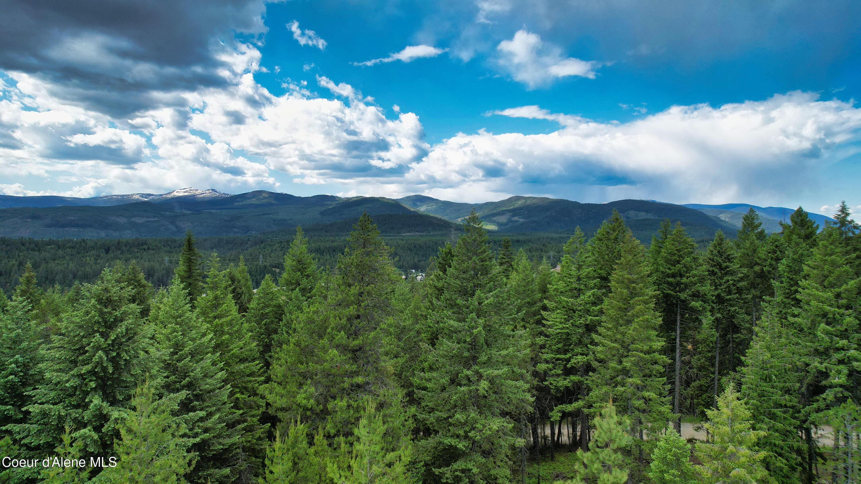 Image 1: Drone Photo