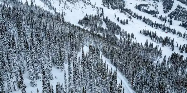 Image 2: Winter Wonderland