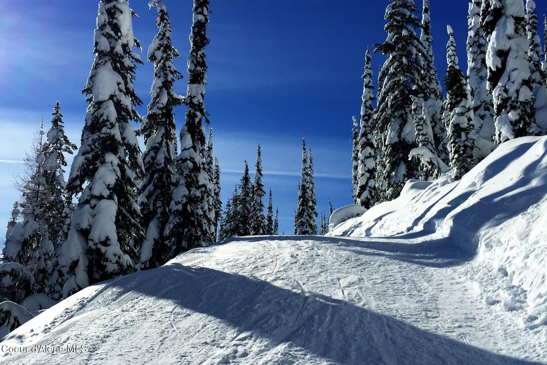 Image 3: Spires Groomed Trails