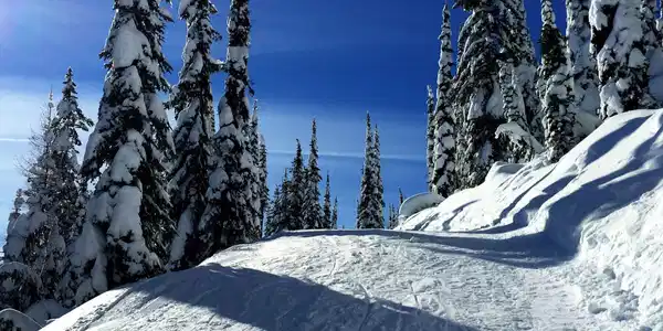 Image 3: Spires Groomed Trails