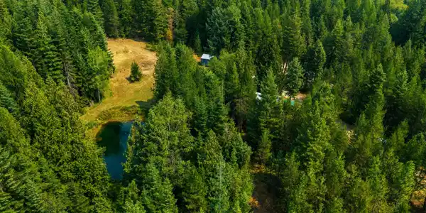 Image 2: DJI_20250503190520_0340_D